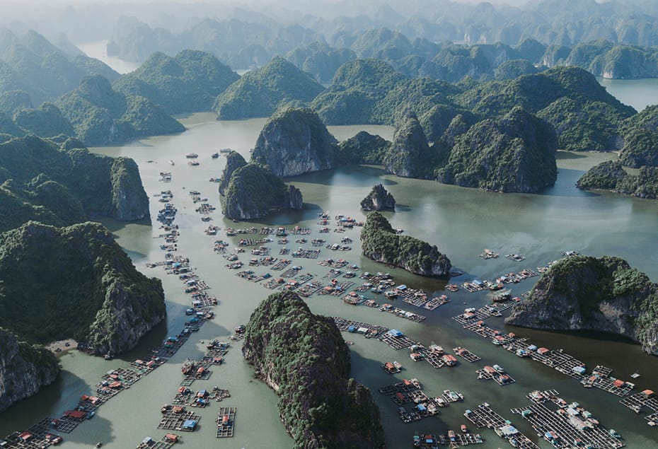 From Cat Co Beaches to Monkey Island – A Perfect Beach Journey in Cat Ba