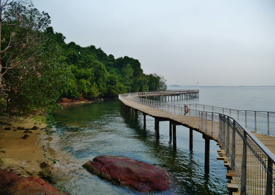 Pulau Ubin Nature Route – From Granite Quarries to Chek Jawa Wetlands